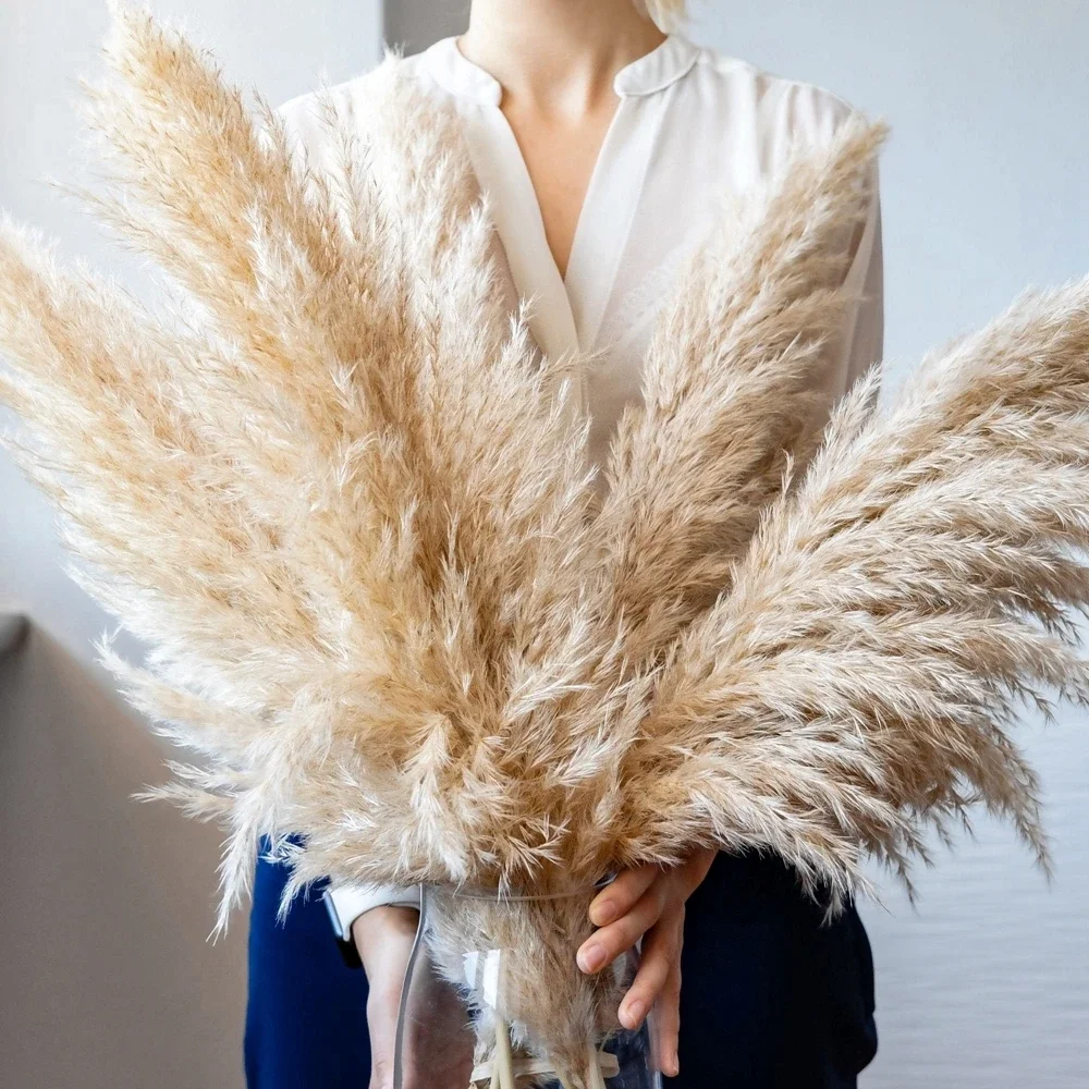 Dried Flower Bulk - 120cm - 130cm Puszysta duża trawa