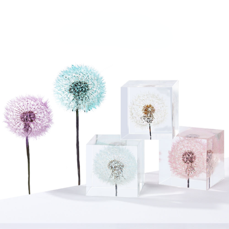 Mniszek konserwowany świeże kw – Flower Preservation Resin recenzja i cena