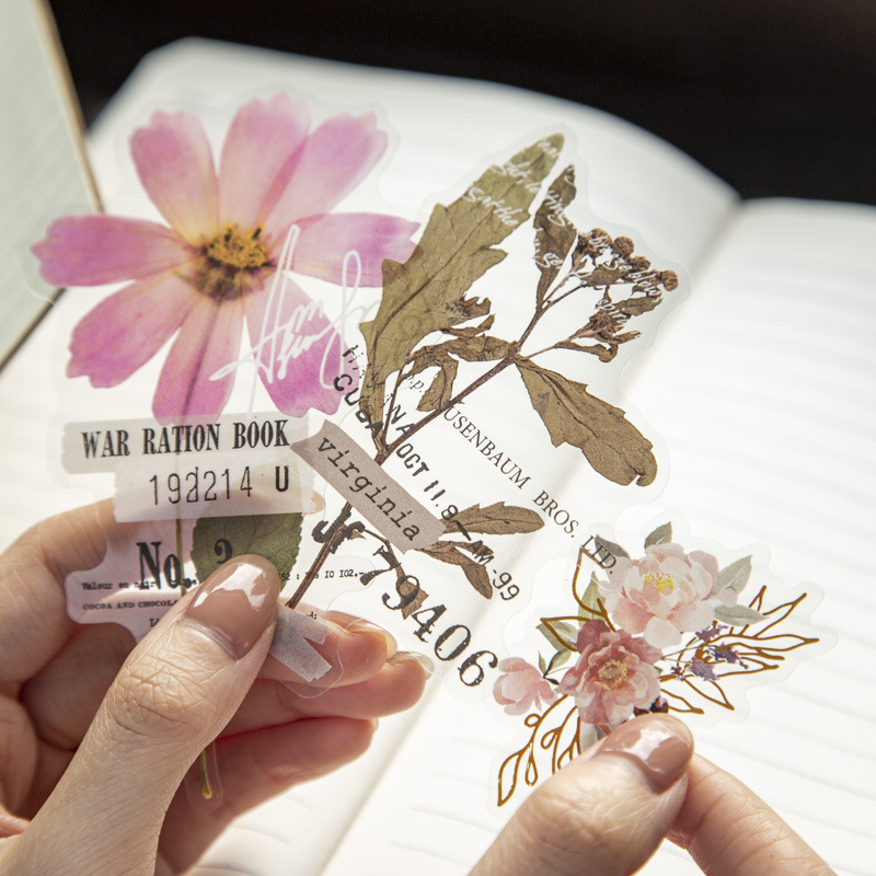 10 szt./opak. Naklejki z serii – Dried Flower Bulk recenzja i cena