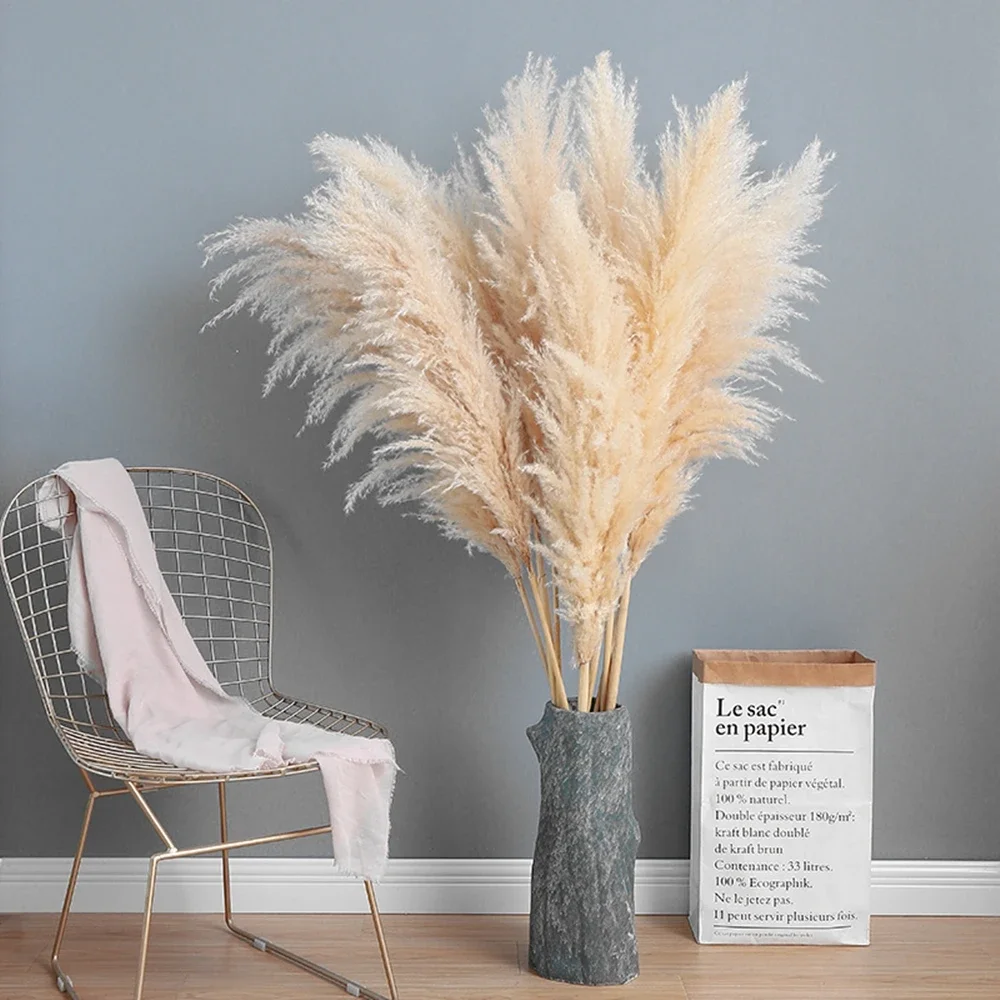 120cm - 130cm Puszysta duża tr – Dried Flower Bulk recenzja i cena