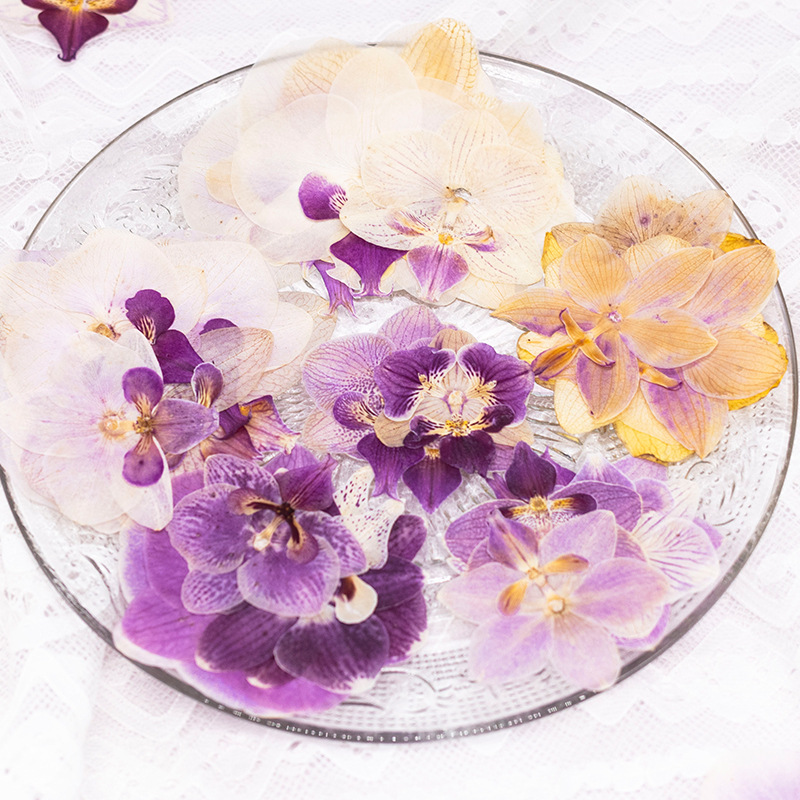 4 szt. Suszone, prasowane kwia – Dried Flower Bulk recenzja i cena