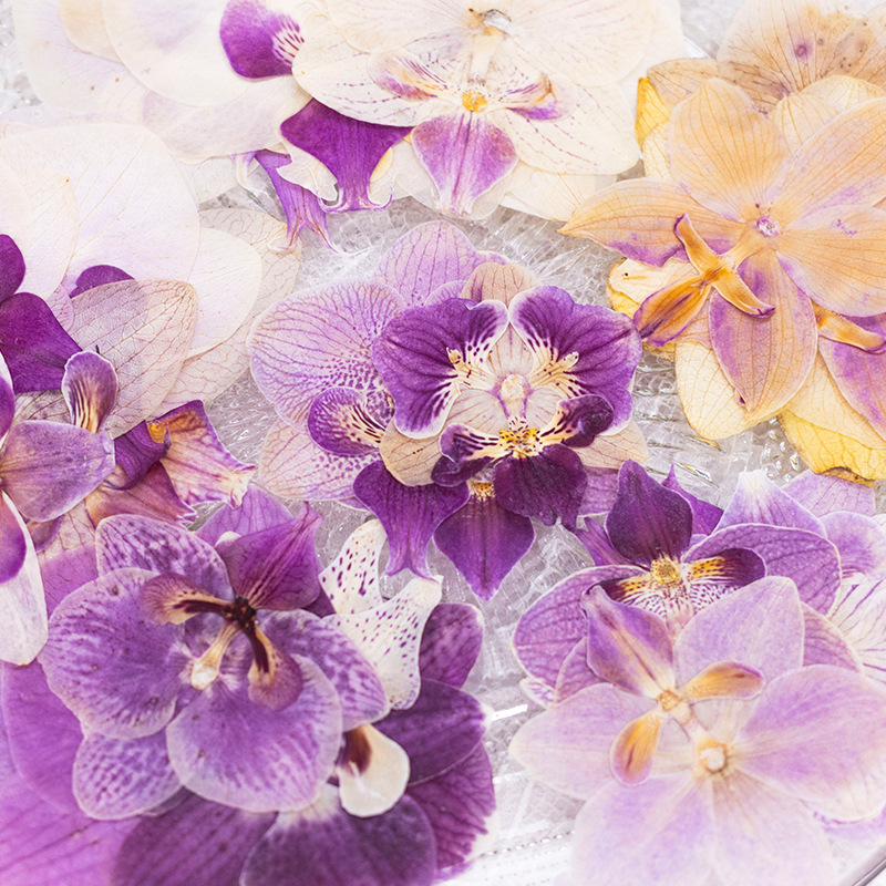 4 szt. Suszone, prasowane kwia – Dried Flower Bulk recenzja i cena